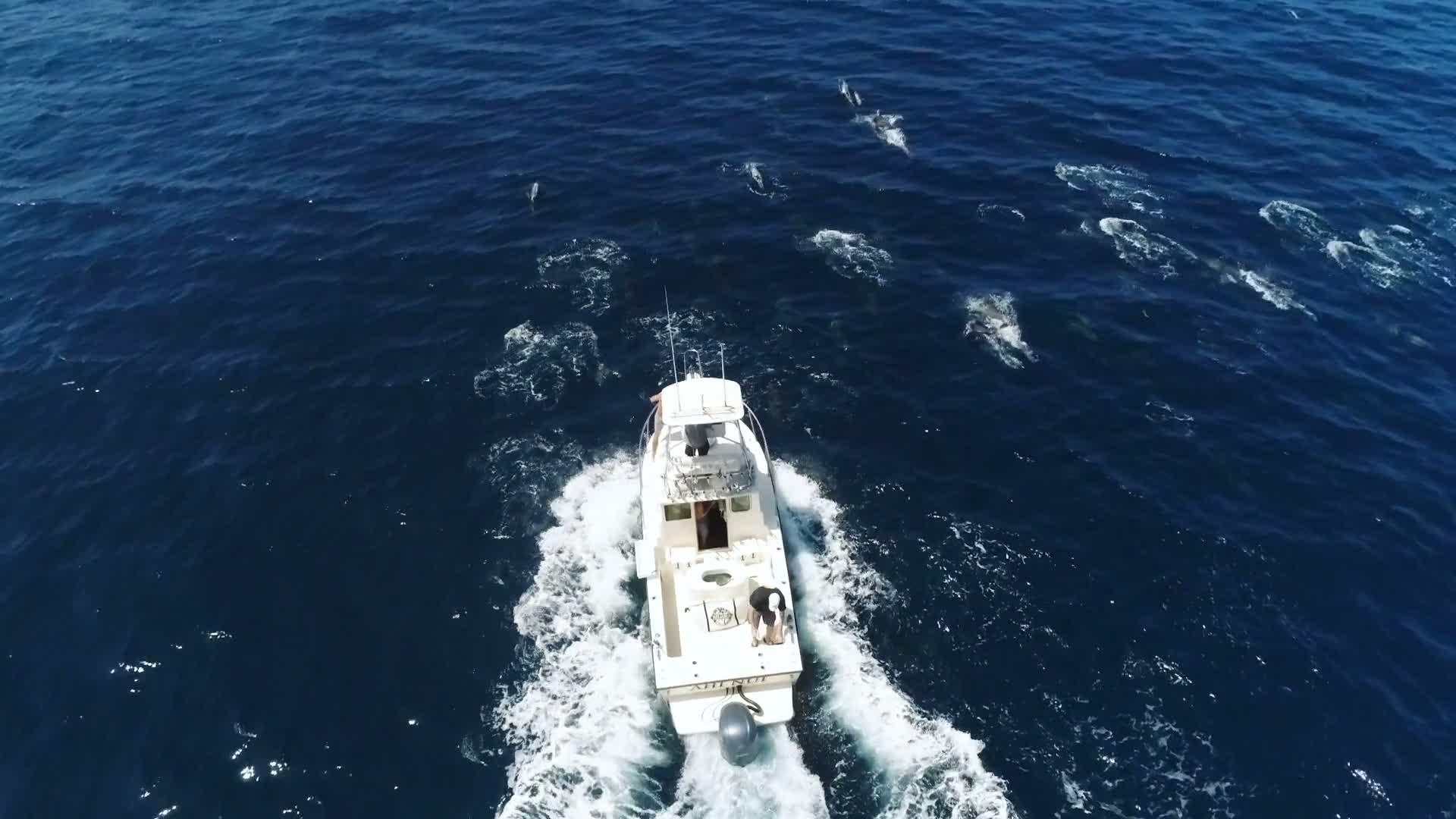 Un bateau à moteur navigue au large, vu du ciel